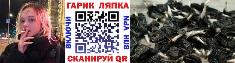 ГАШ Premium Калтан