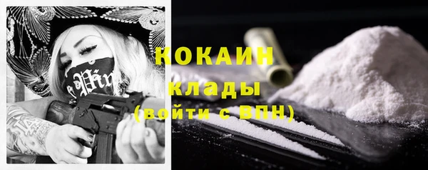 шишки Вязники