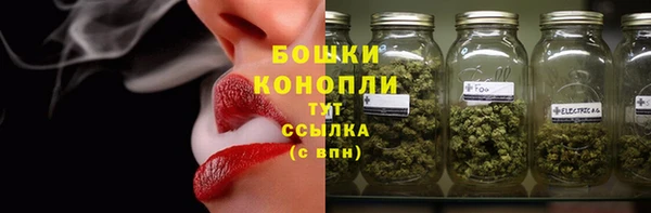 сатива Володарск