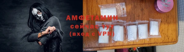 шишки Вязники