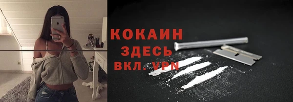 сатива Володарск