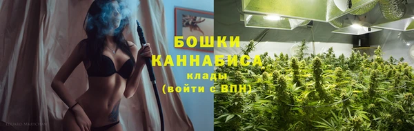 сатива Володарск